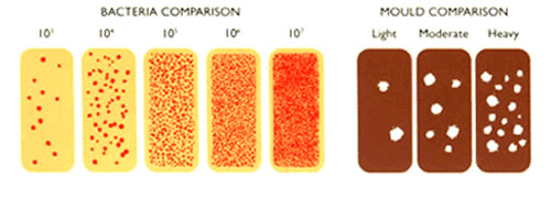 Dip Slide Comparison Chart